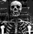 Скелет маркиза
