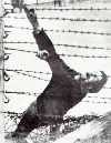 Заключенный концентрационного лагеря кончает жизнь самоубийством на колючей проволоке под напряжением